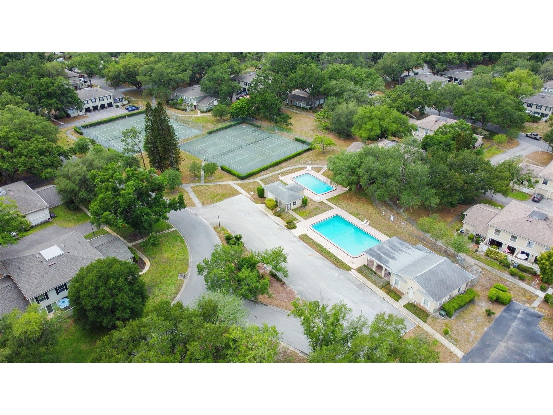6206 Greenleaf Lane Tampa FL 33617 TB8493234 image22