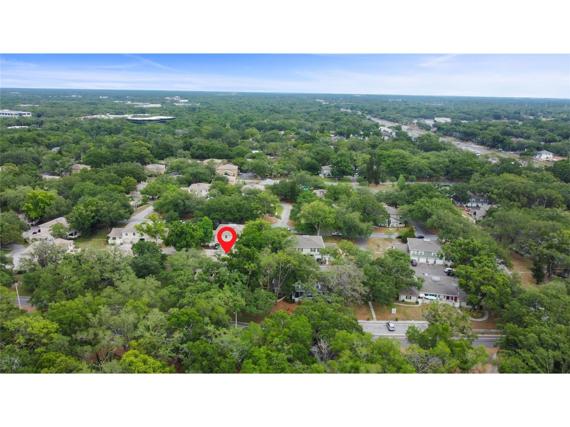 6206 Greenleaf Lane Tampa FL 33617 TB8493234 image25