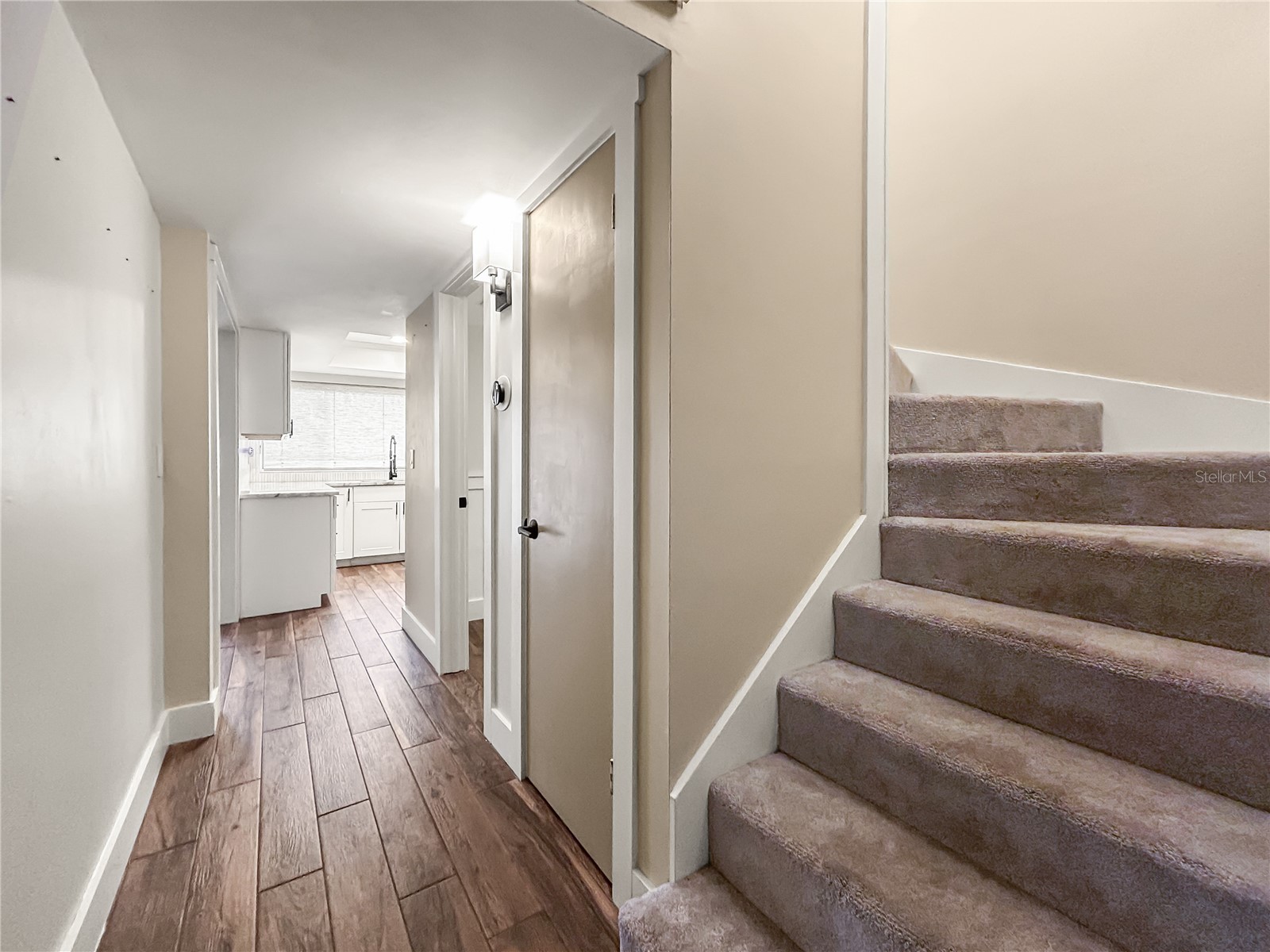 6206 Greenleaf Lane Tampa FL 33617 TB8493234 image8