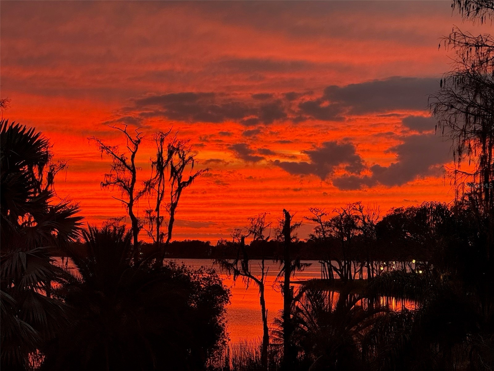 6206 Masters Boulevard #302 Orlando FL 32819 - LAKE BUTLER CHAIN OF LAKES O6382090 image31