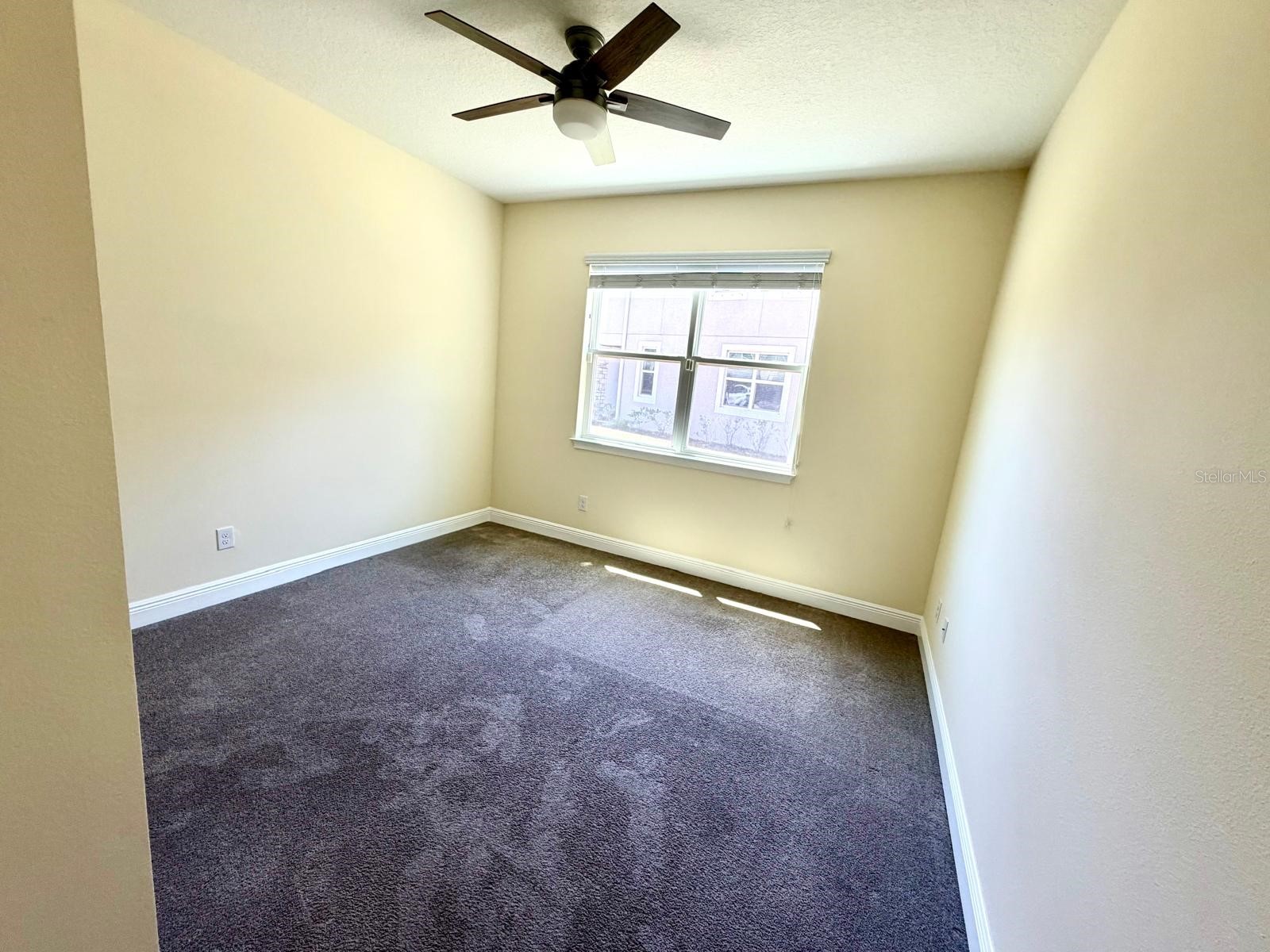 6206 Scarlet Darter Way Tampa FL 33625 TB8497337 image18