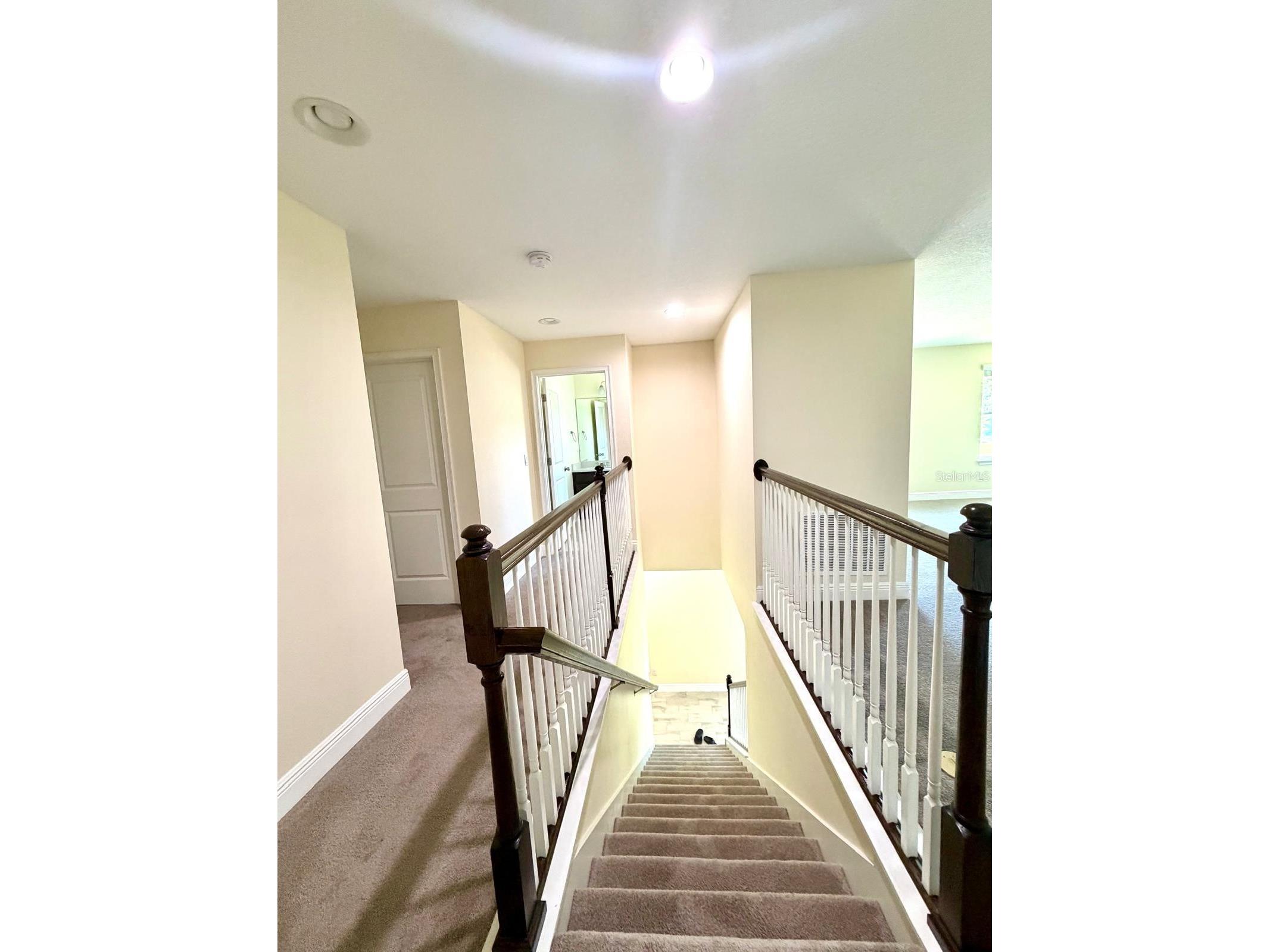 6206 Scarlet Darter Way Tampa FL 33625 TB8497337 image19