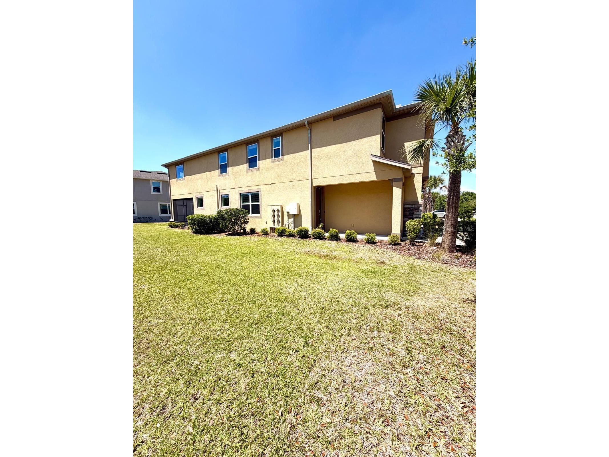 6206 Scarlet Darter Way Tampa FL 33625 TB8497337 image2