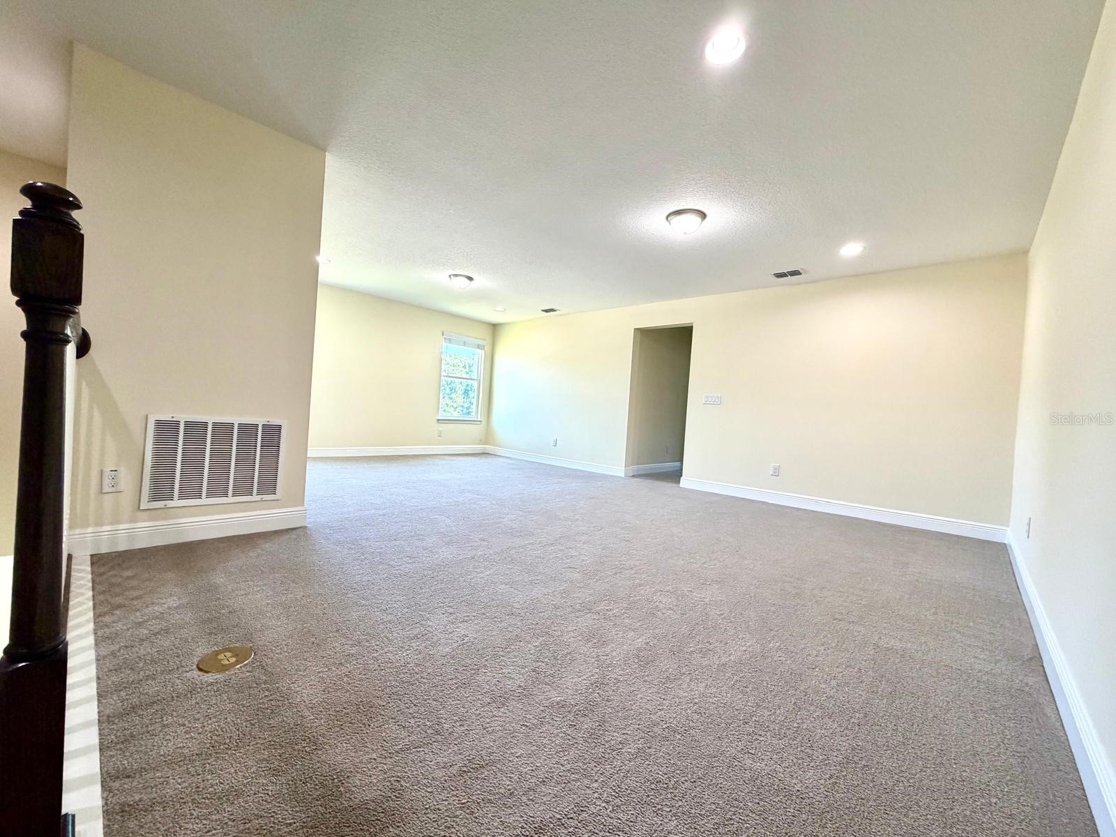 6206 Scarlet Darter Way Tampa FL 33625 TB8497337 image20