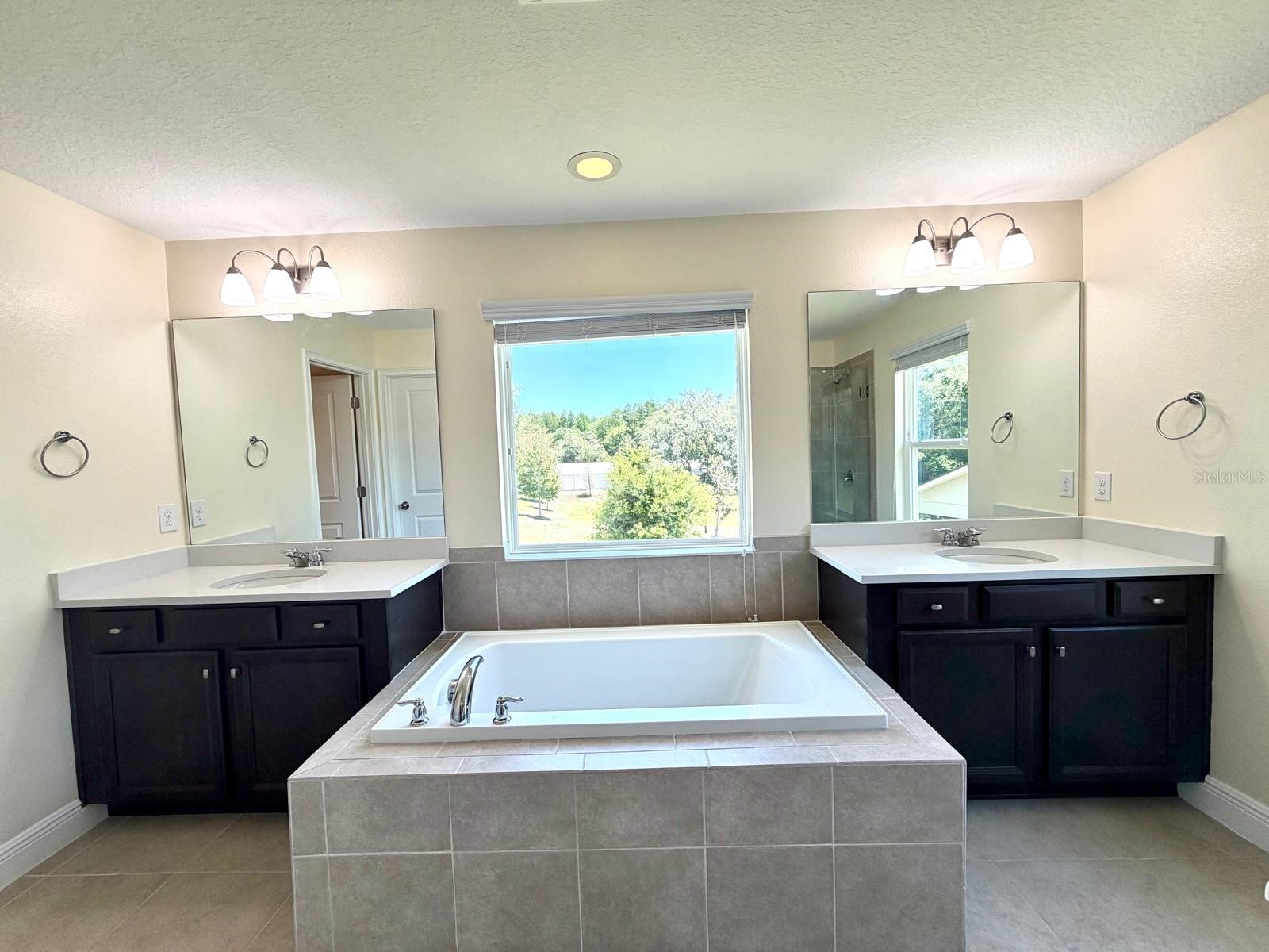 6206 Scarlet Darter Way Tampa FL 33625 TB8497337 image28