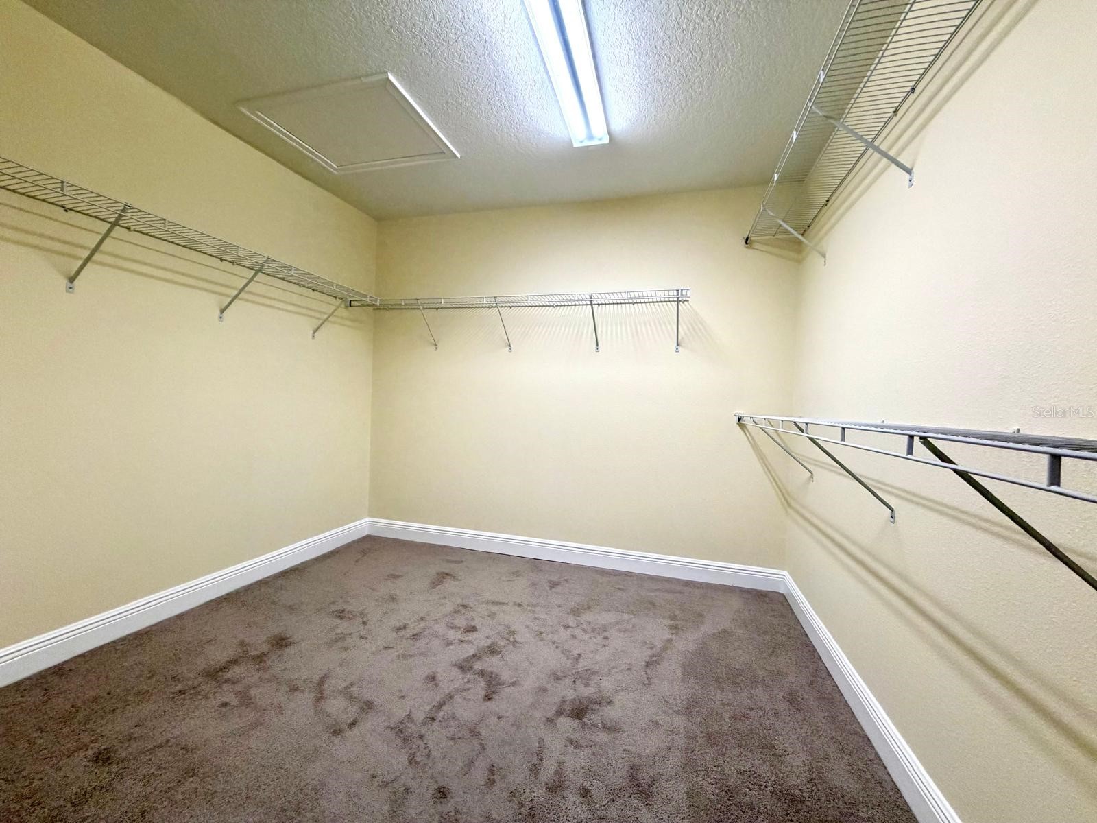 6206 Scarlet Darter Way Tampa FL 33625 TB8497337 image32