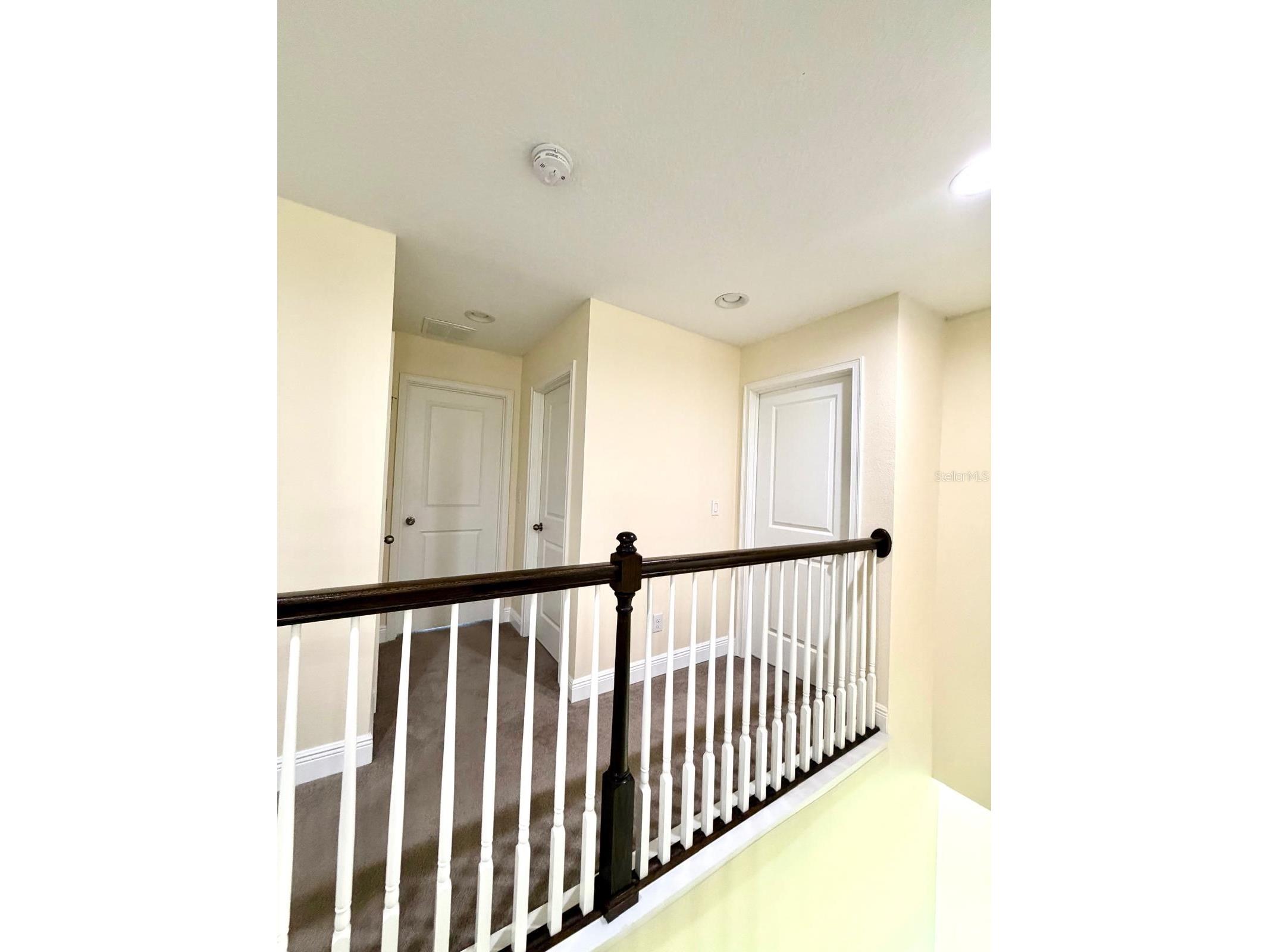 6206 Scarlet Darter Way Tampa FL 33625 TB8497337 image33