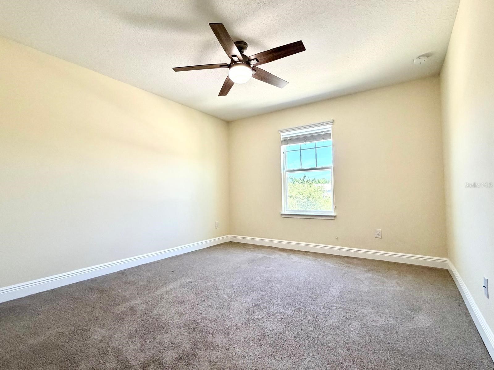 6206 Scarlet Darter Way Tampa FL 33625 TB8497337 image37