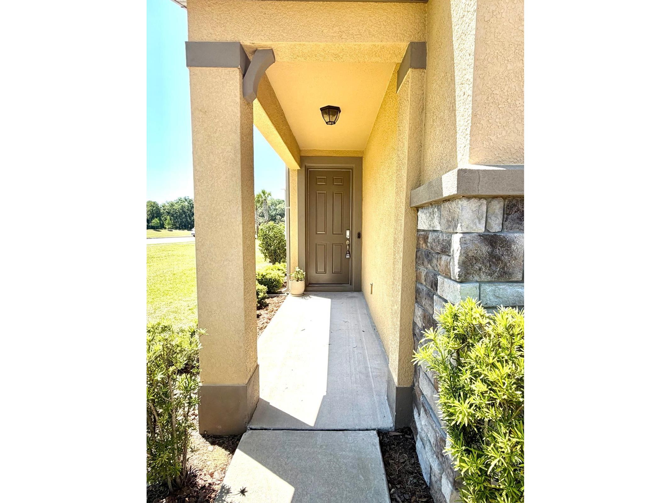 6206 Scarlet Darter Way Tampa FL 33625 TB8497337 image4