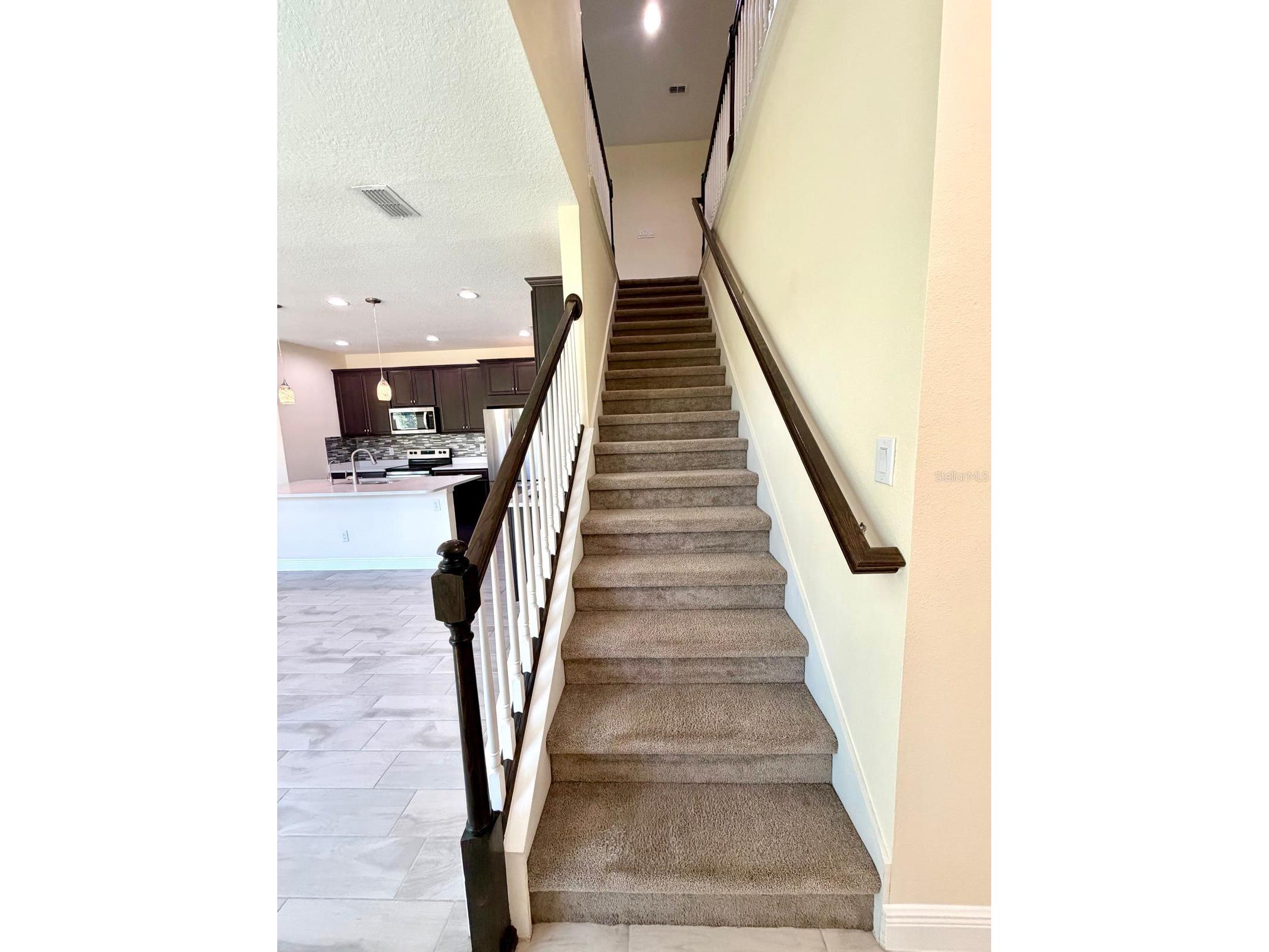 6206 Scarlet Darter Way Tampa FL 33625 TB8497337 image7