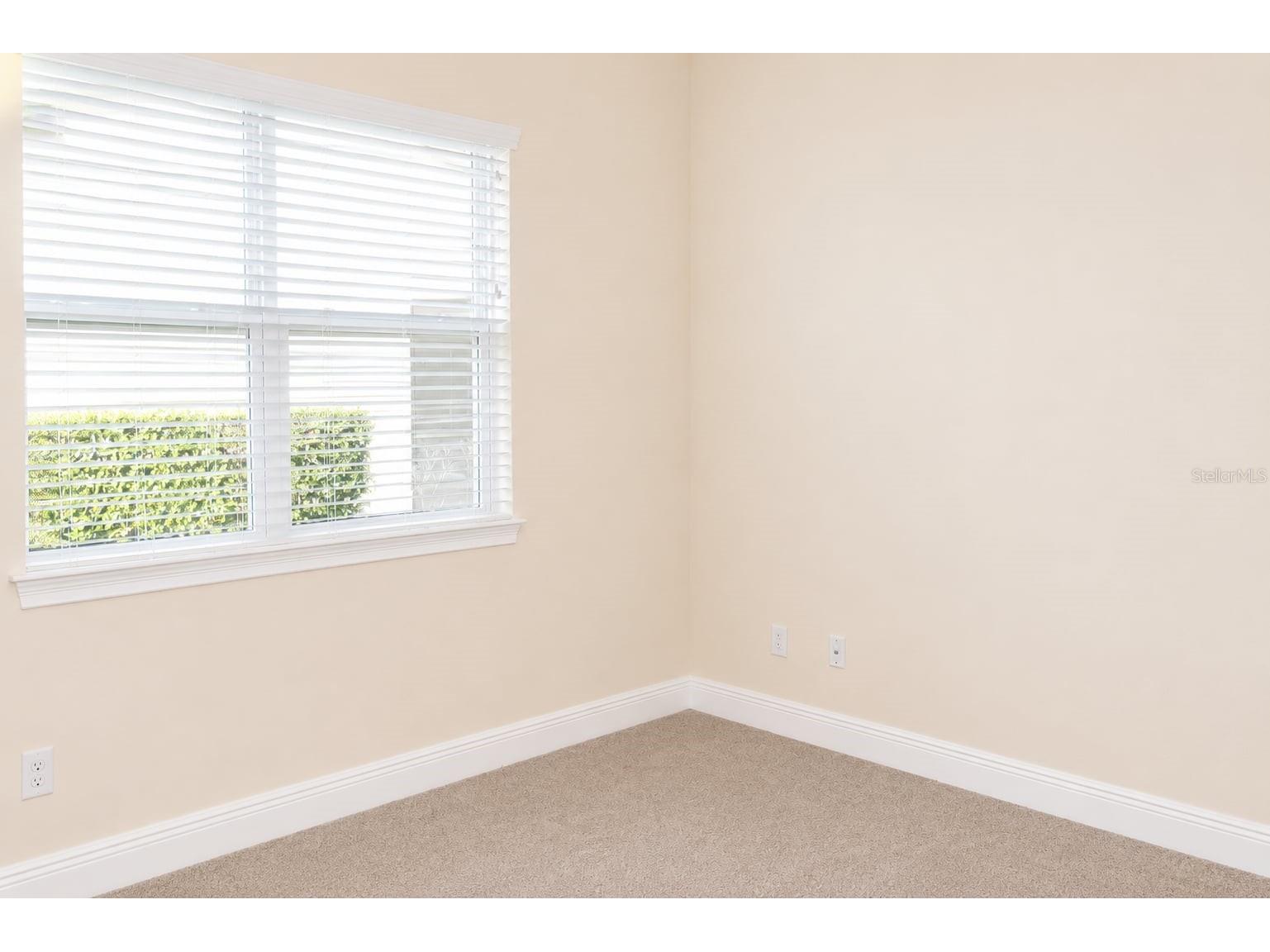 6206 Scarlet Darter Way Tampa FL 33625 W7885774 image24