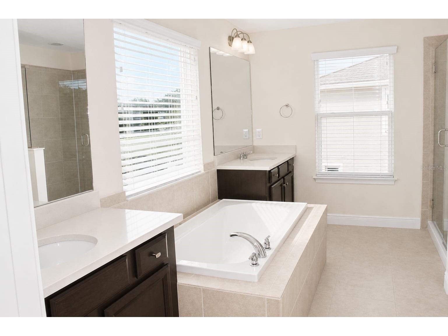 6206 Scarlet Darter Way Tampa FL 33625 W7885774 image27