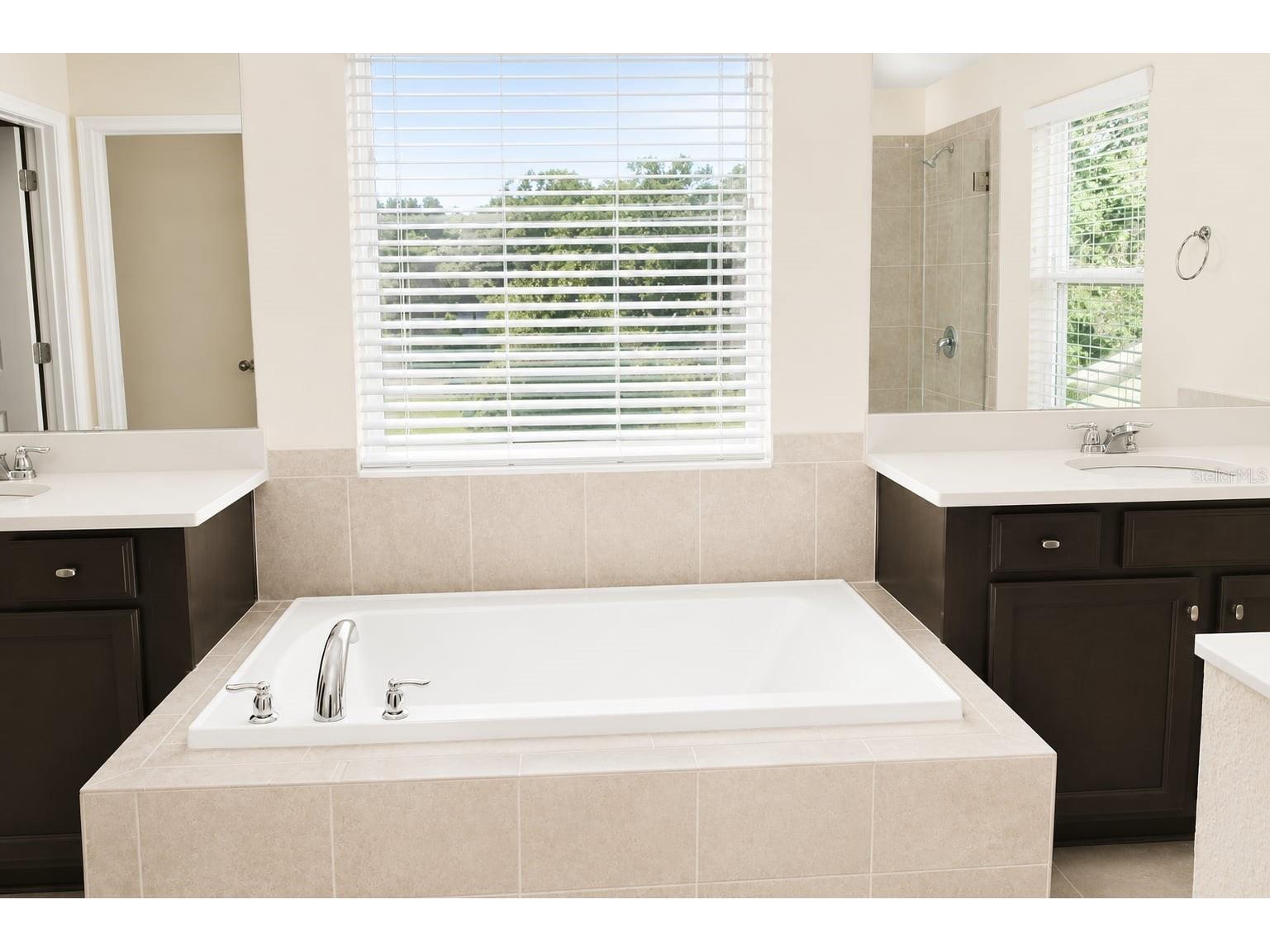 6206 Scarlet Darter Way Tampa FL 33625 W7885774 image28