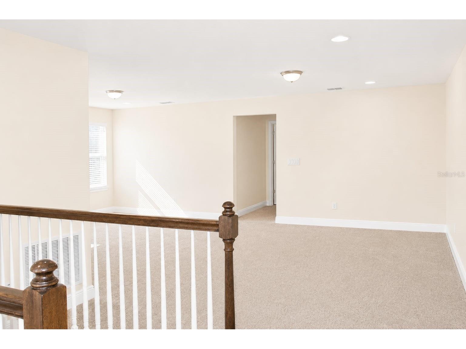 6206 Scarlet Darter Way Tampa FL 33625 W7885774 image34