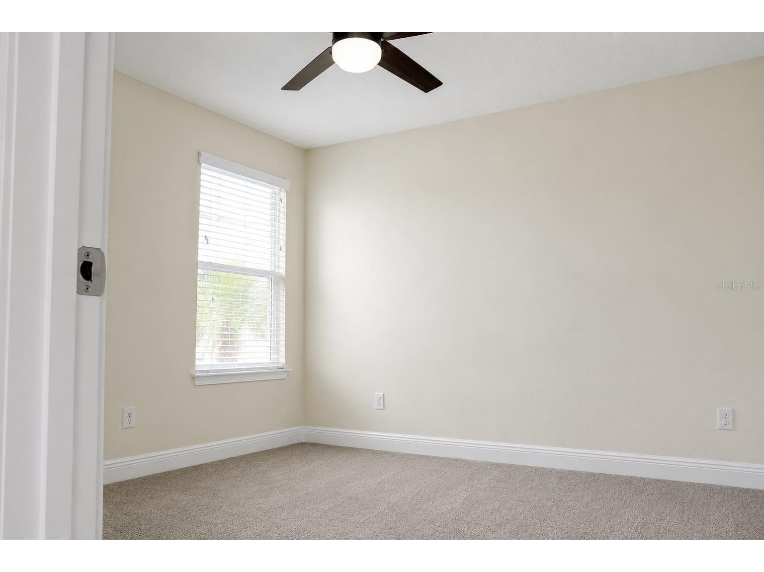6206 Scarlet Darter Way Tampa FL 33625 W7885774 image39