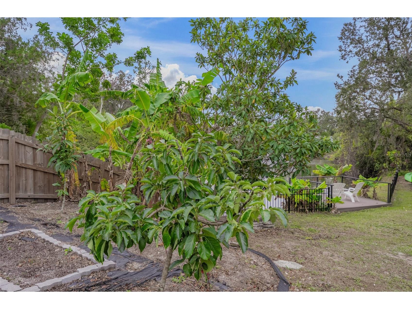 6207 93rd Street Circle E Bradenton FL 34202 - BRADEN WOOD POND A4695946 image79