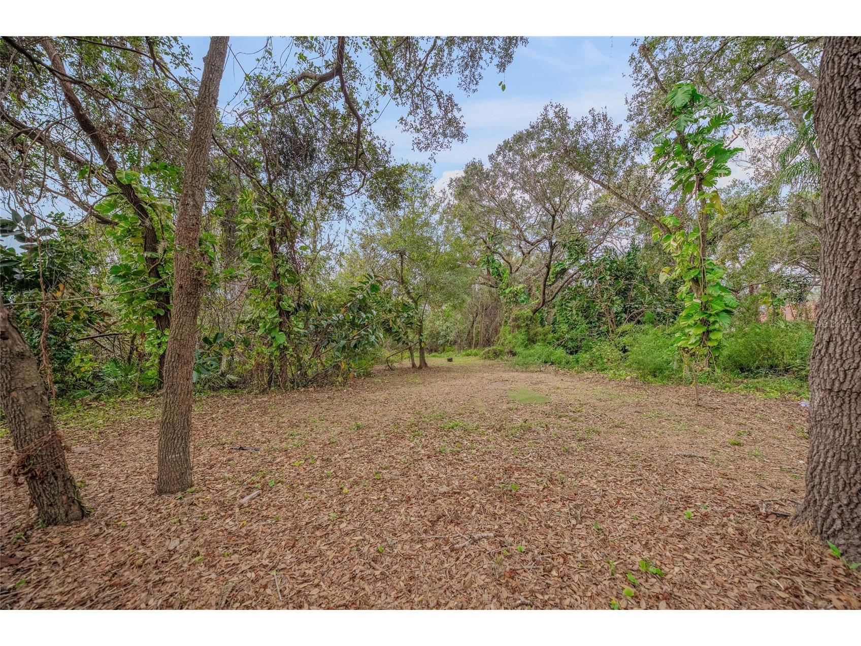 6207 93rd Street Circle E Bradenton FL 34202 - BRADEN WOOD POND A4695946 image81