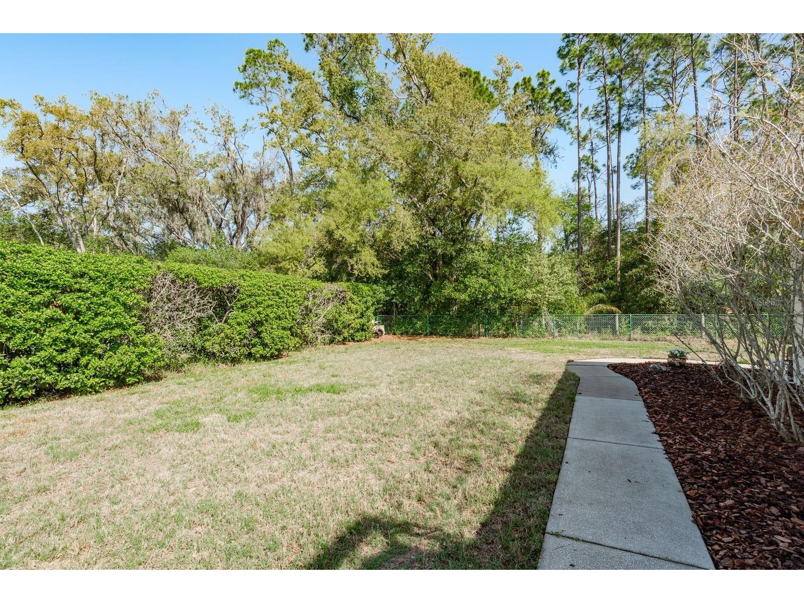 6207 Claire De Lune Court New Port Richey FL 34655 - ANCLOTE RIVER TB8476747 image59