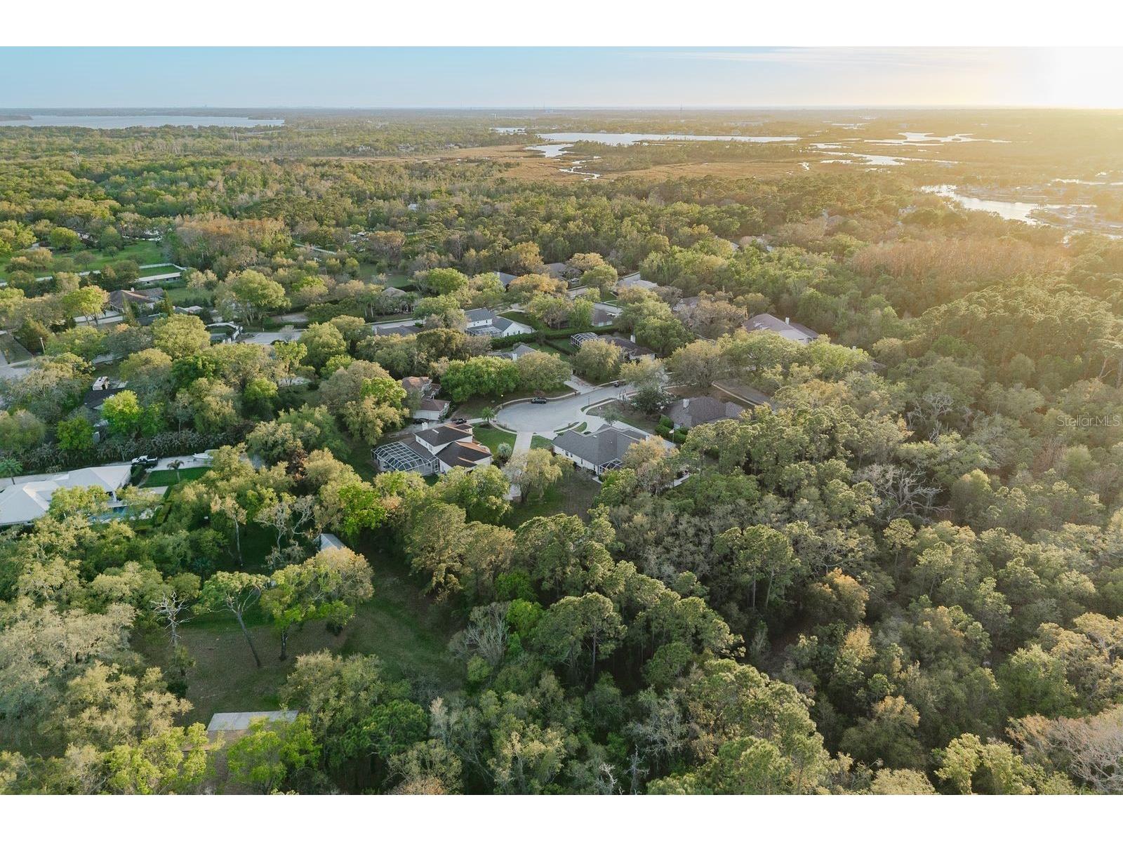 6207 Claire De Lune Court New Port Richey FL 34655 - ANCLOTE RIVER TB8476747 image79