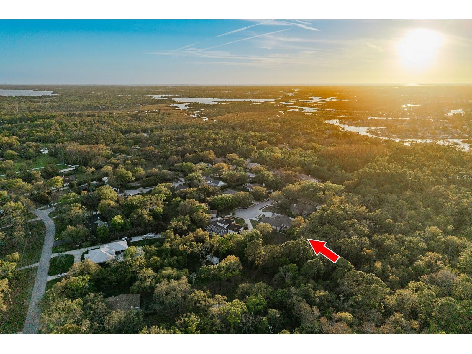 6207 Claire De Lune Court New Port Richey FL 34655 - ANCLOTE RIVER TB8476747 image80