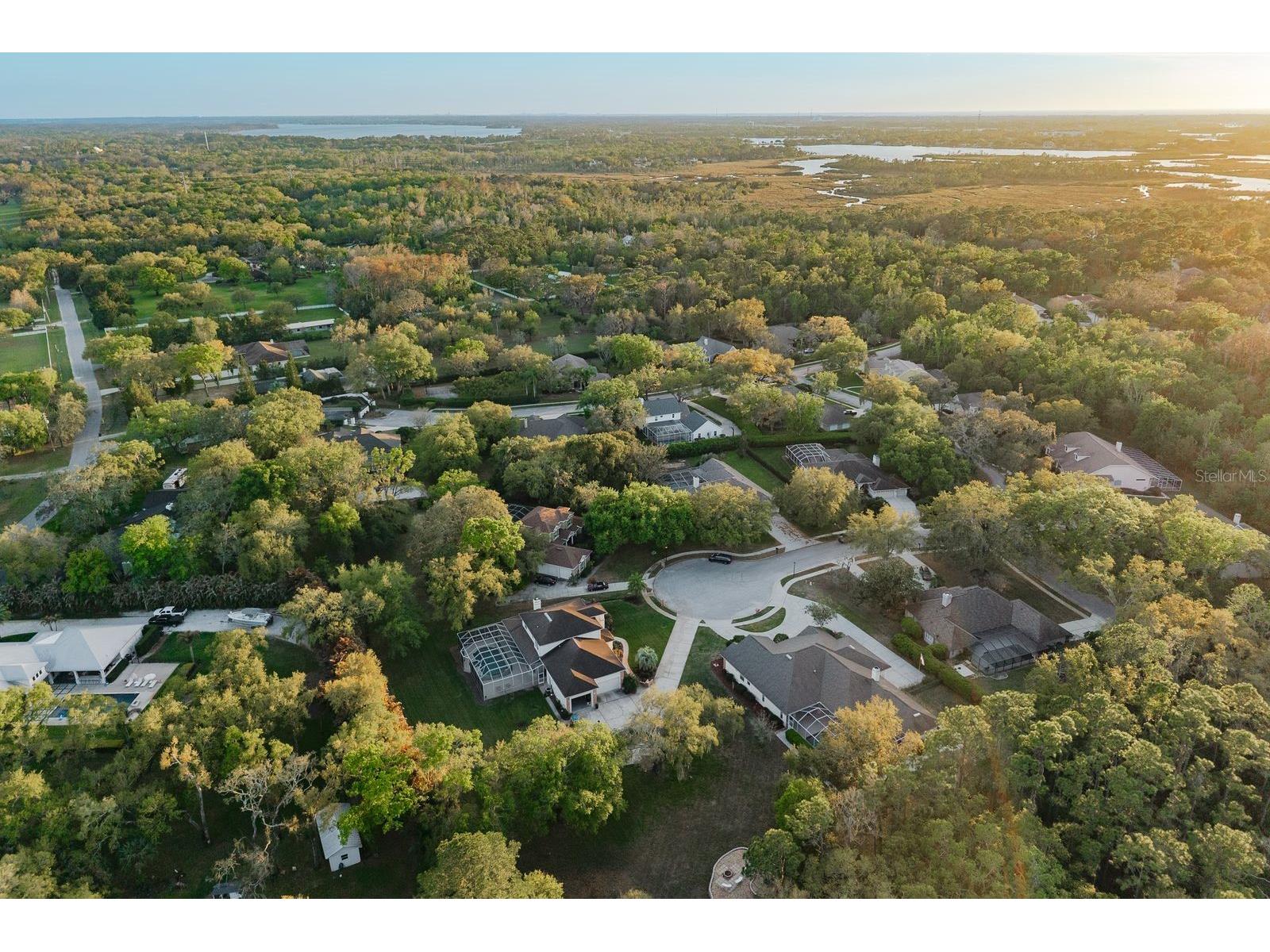 6207 Claire De Lune Court New Port Richey FL 34655 - ANCLOTE RIVER TB8476747 image81