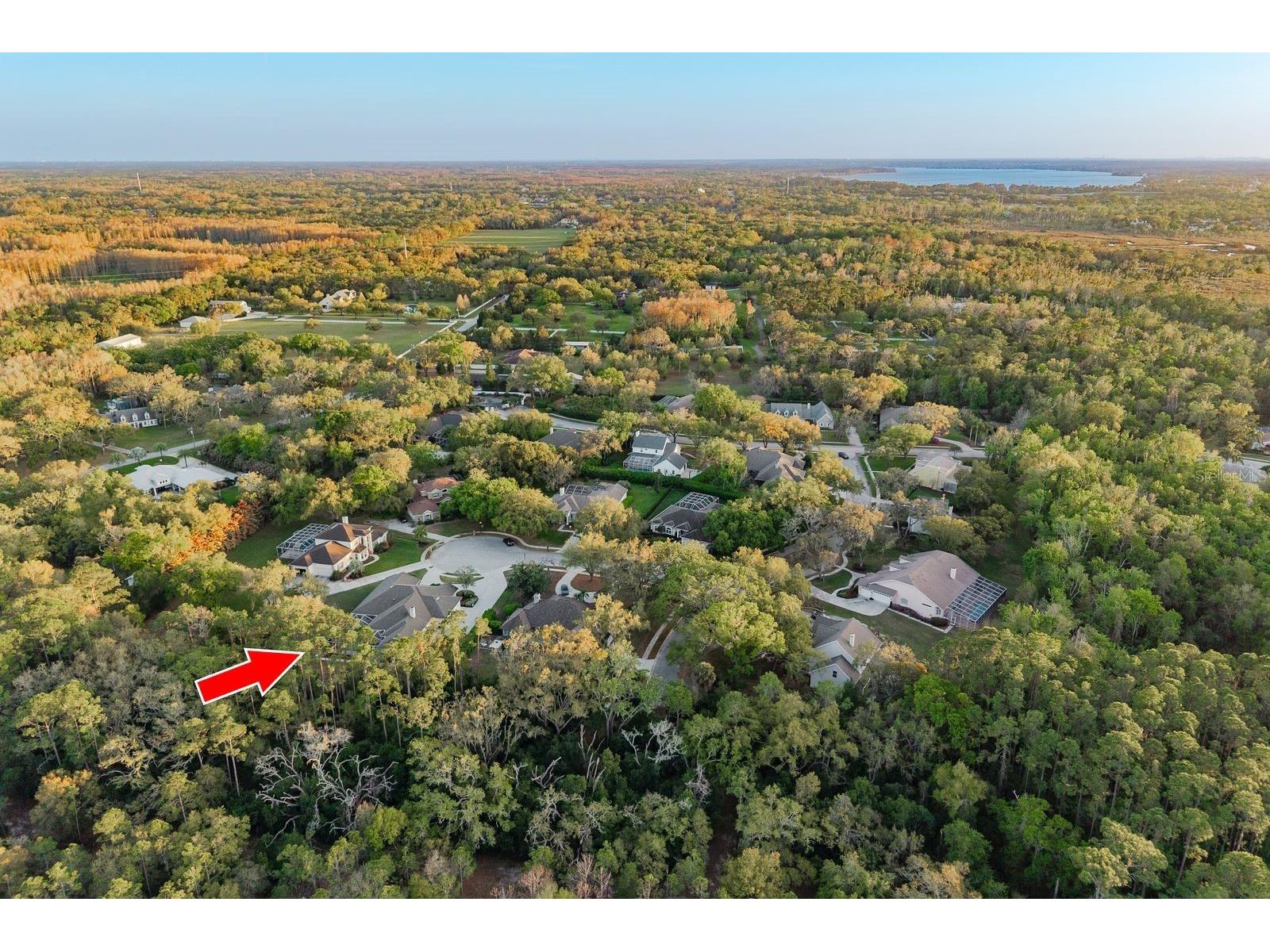 6207 Claire De Lune Court New Port Richey FL 34655 - ANCLOTE RIVER TB8476747 image82