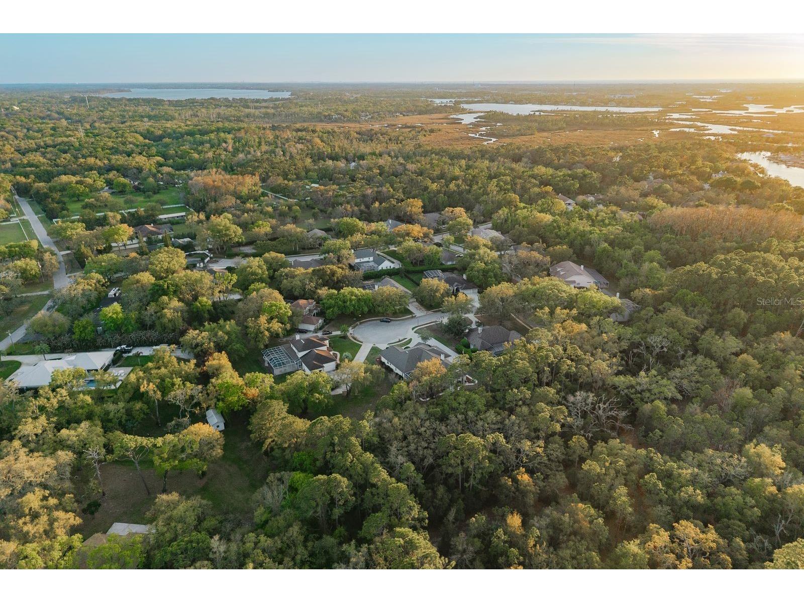 6207 Claire De Lune Court New Port Richey FL 34655 - ANCLOTE RIVER TB8476747 image83