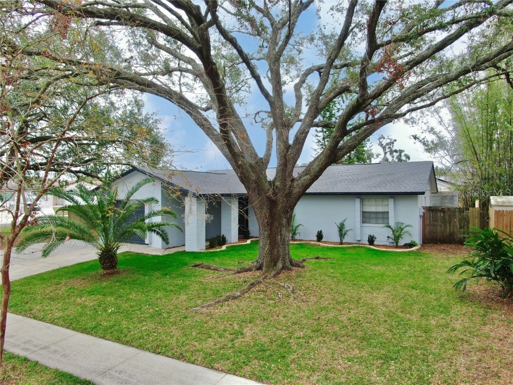 6207 Frost Drive Tampa FL 33625 TB8339156 image1