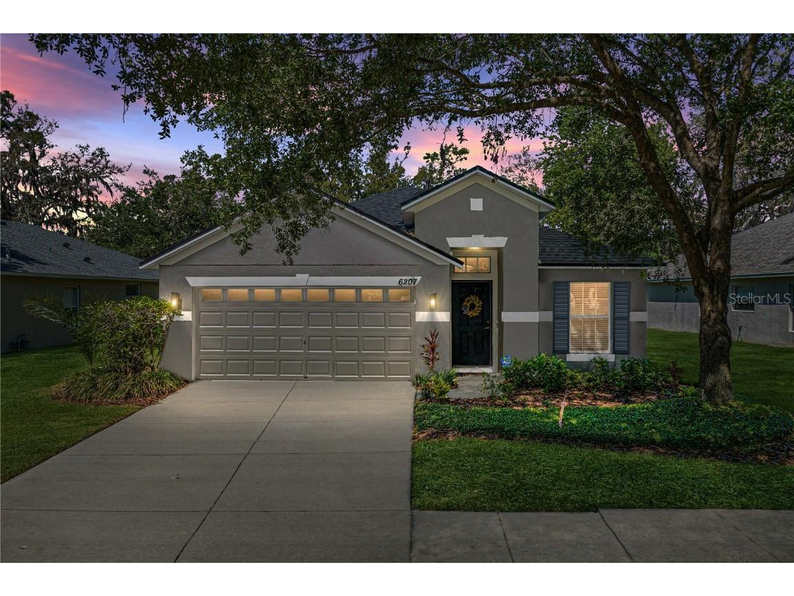 6207 Gannetdale Drive Lithia FL 33547 T3437170 image1