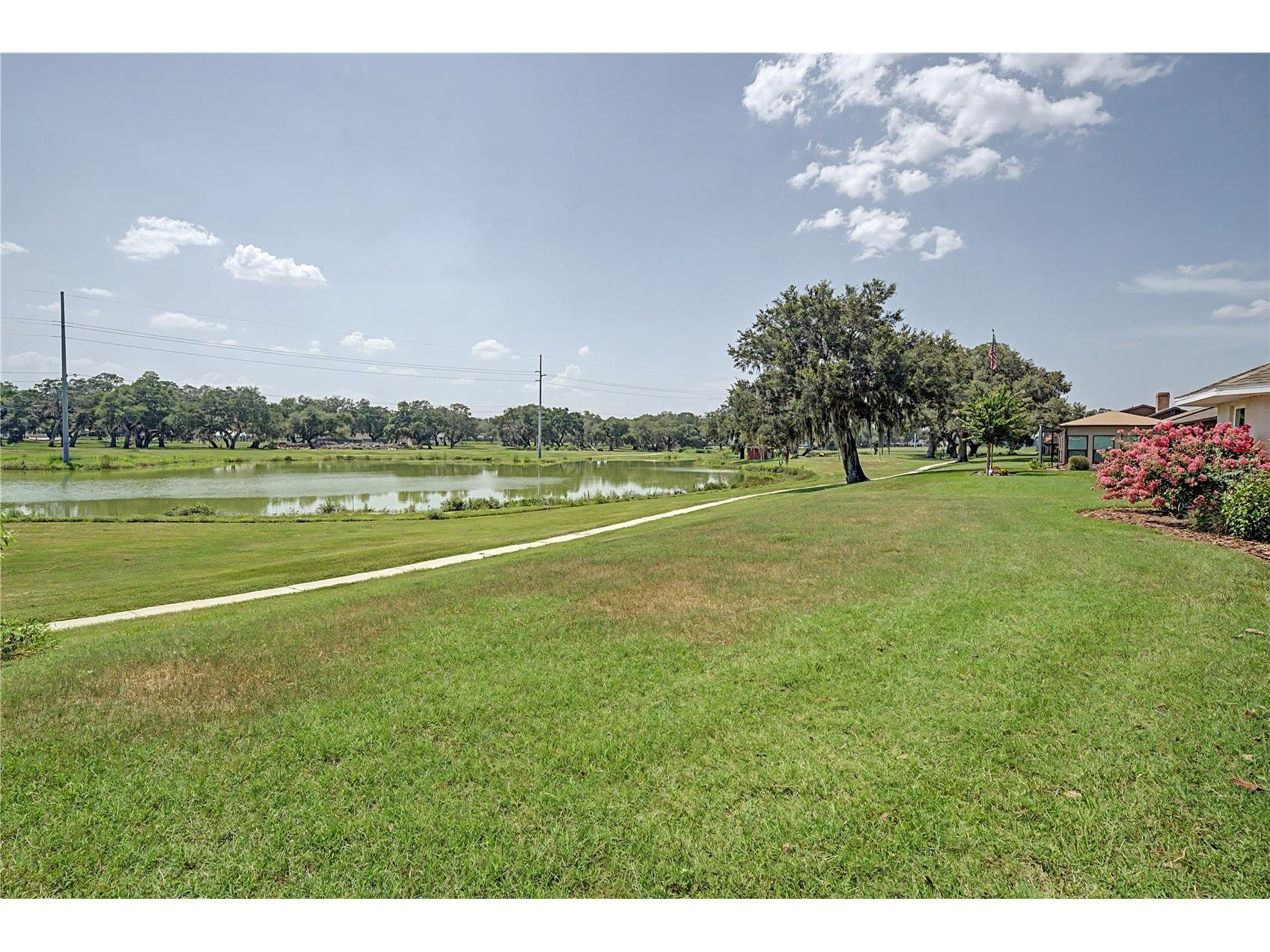 6207 Huntington Drive Zephyrhills FL 33542 TB8524965 image44