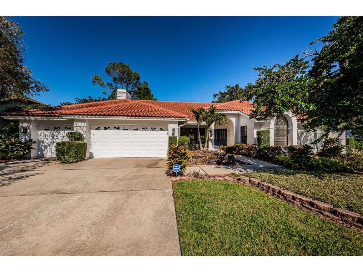 6207 Iroquois Court Odessa FL 33556 W7851905 image1