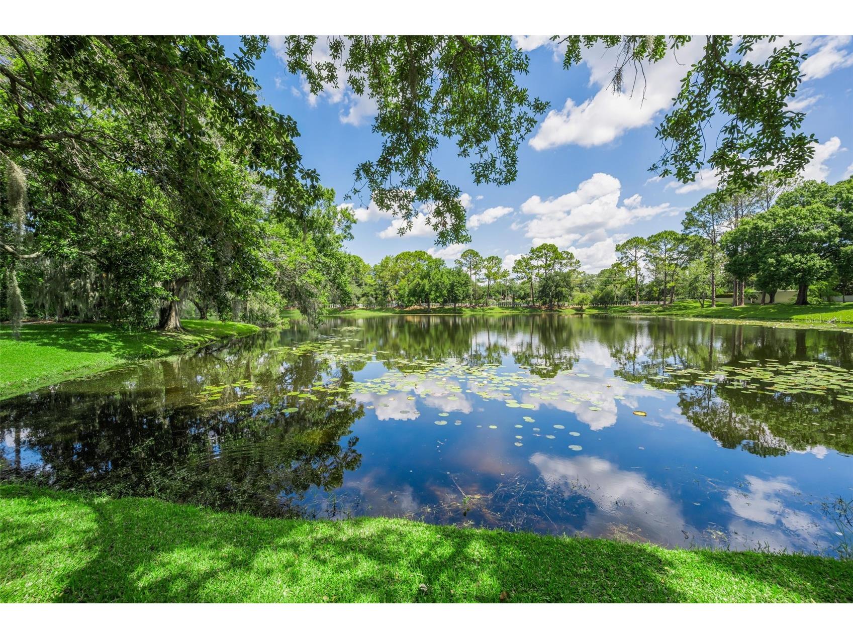 6207 Iroquois Court Odessa FL 33556 W7885969 image6