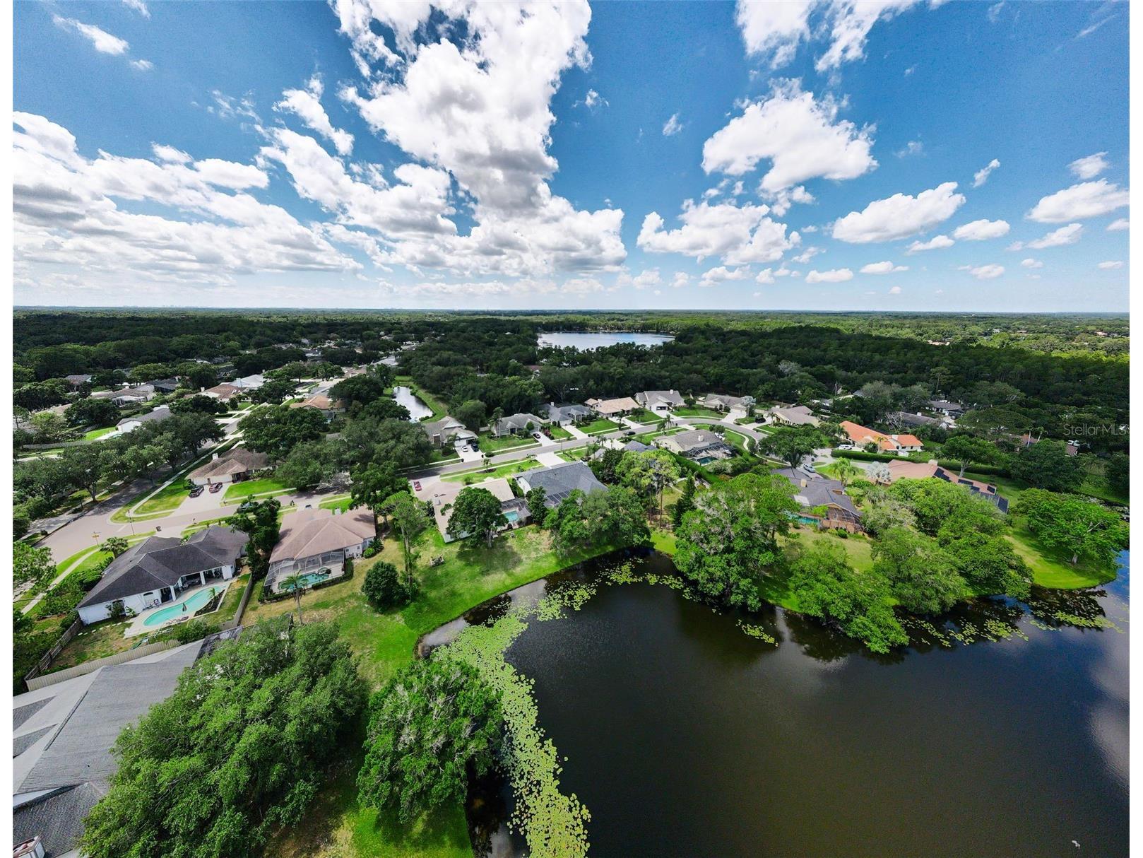 6207 Iroquois Court Odessa FL 33556 W7885969 image78