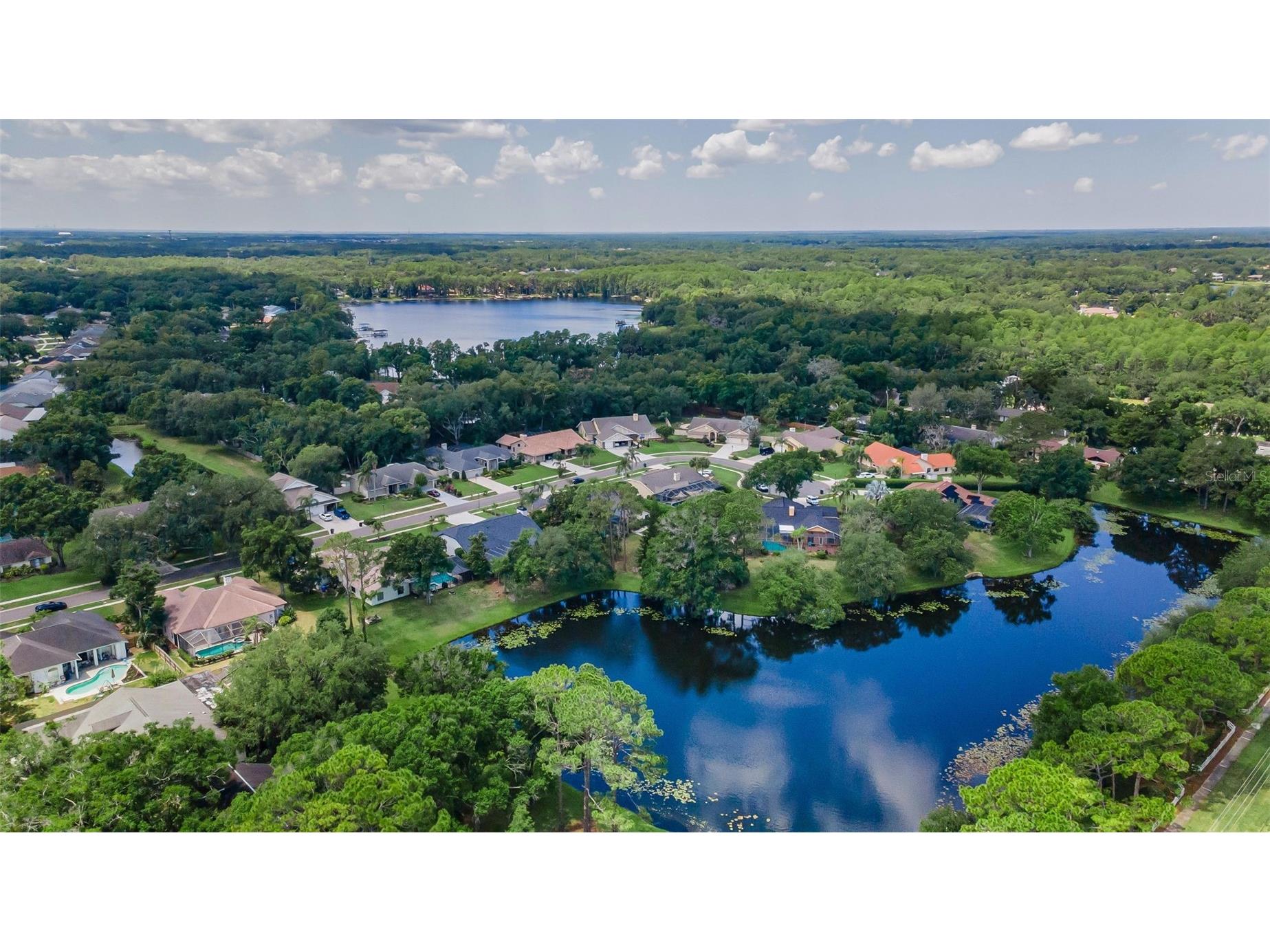 6207 Iroquois Court Odessa FL 33556 W7885969 image79