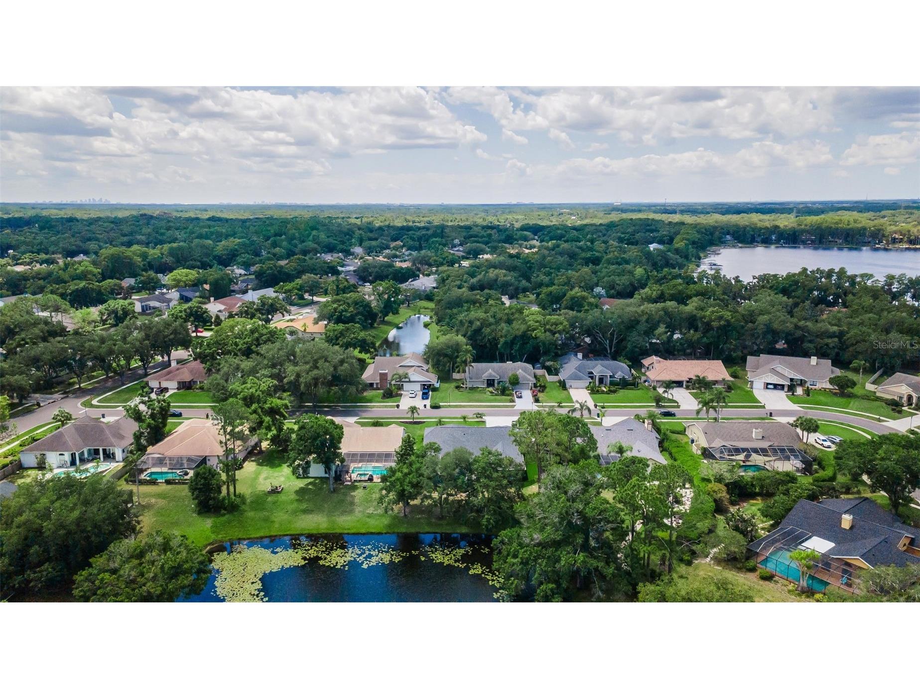 6207 Iroquois Court Odessa FL 33556 W7885969 image80
