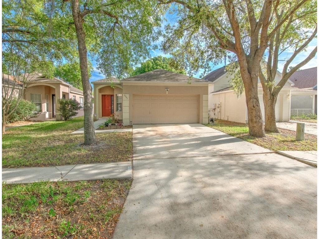 6207 Kiteridge Drive Lithia FL 33547 T3511604 image1