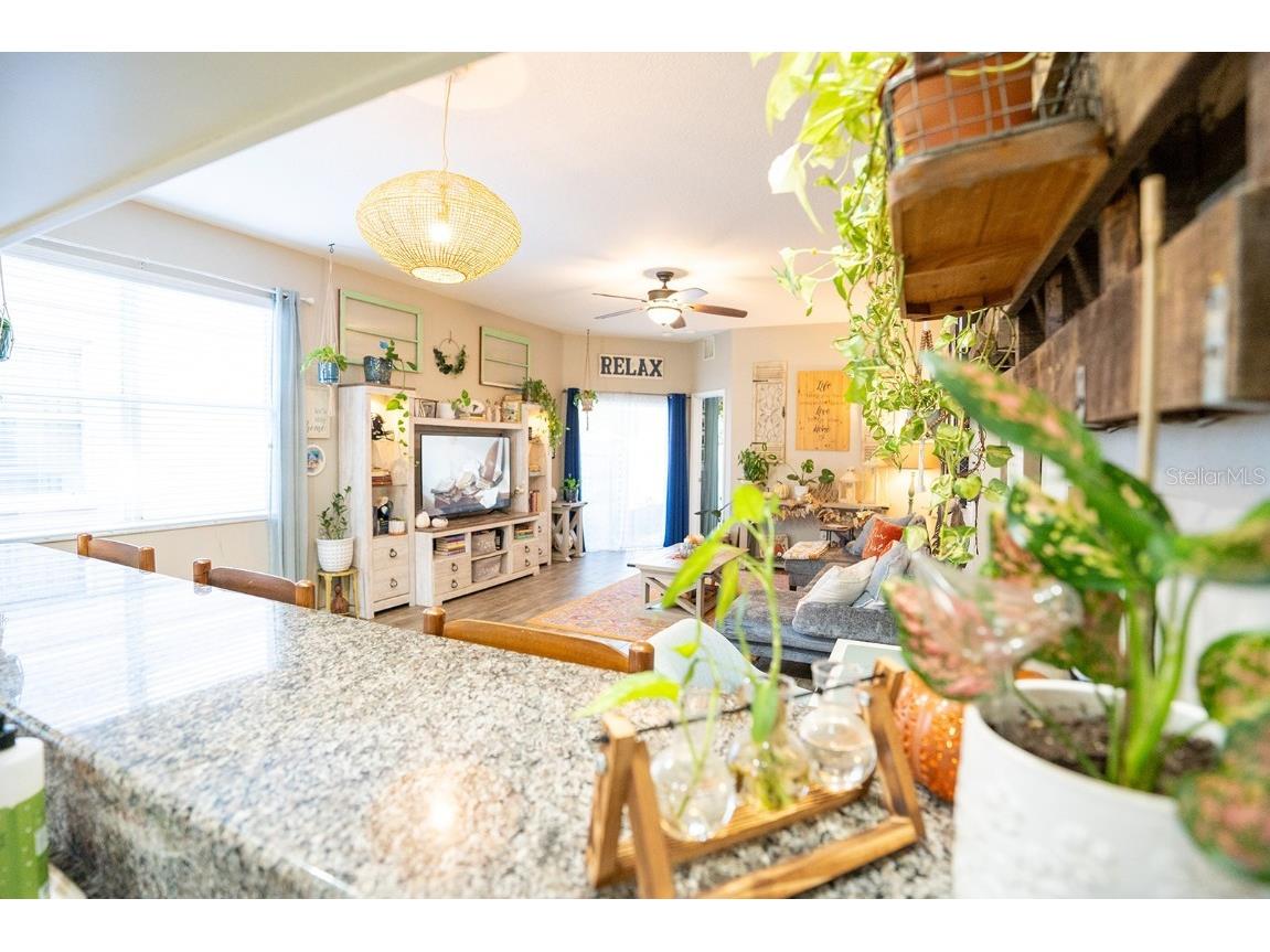 6207 Kiteridge Drive Lithia FL 33547 TB8446543 image18