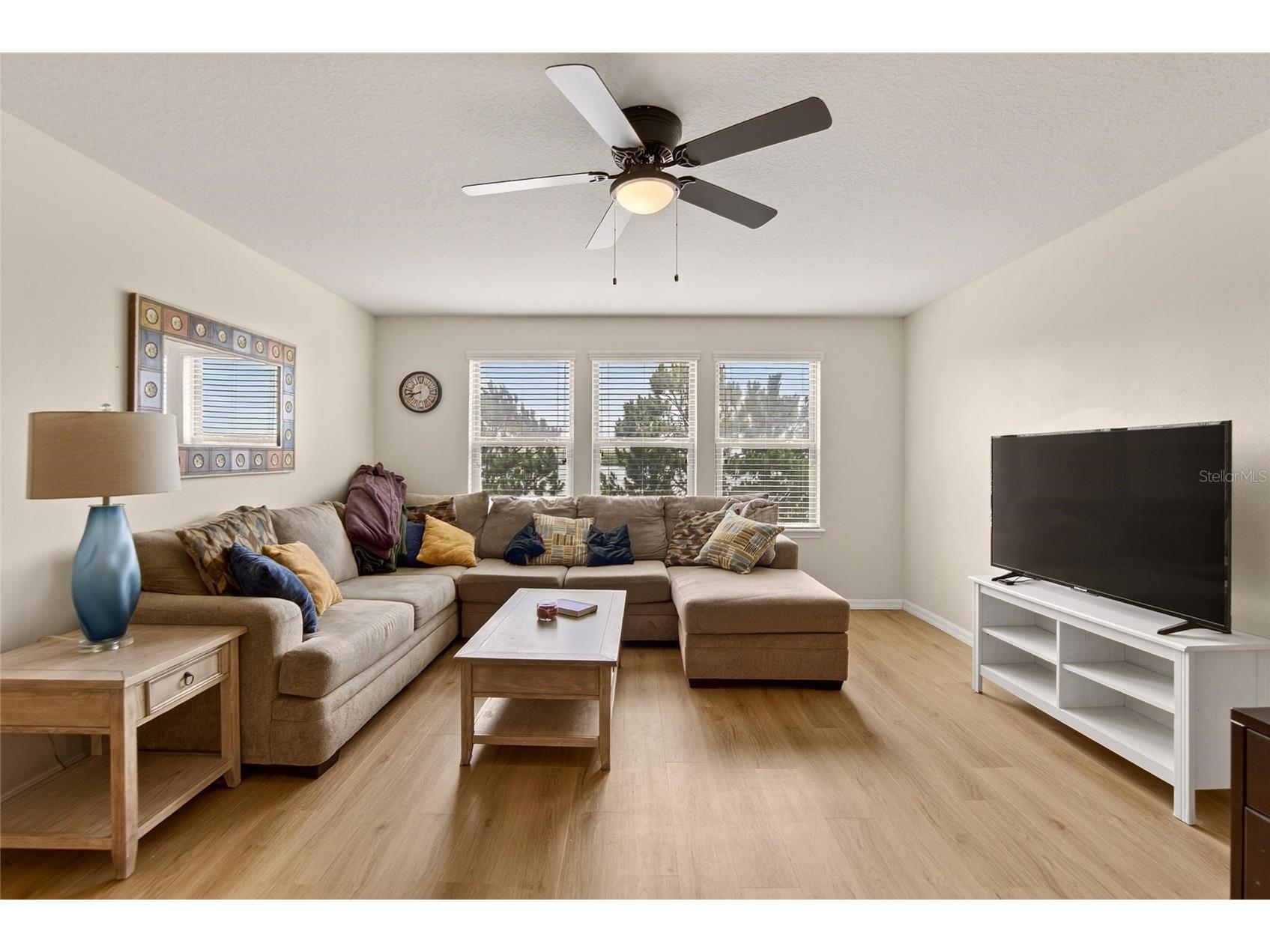 6207 Magnolia Park Blvd Riverview FL 33578 TB8515217 image18