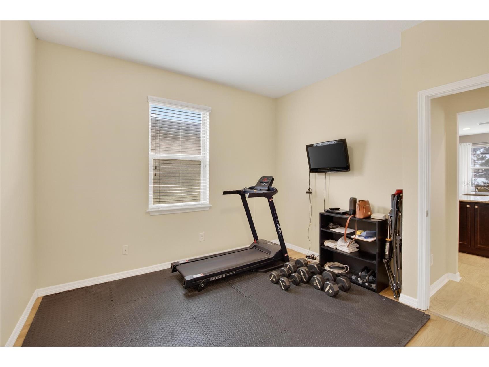6207 Magnolia Park Blvd Riverview FL 33578 TB8515217 image33