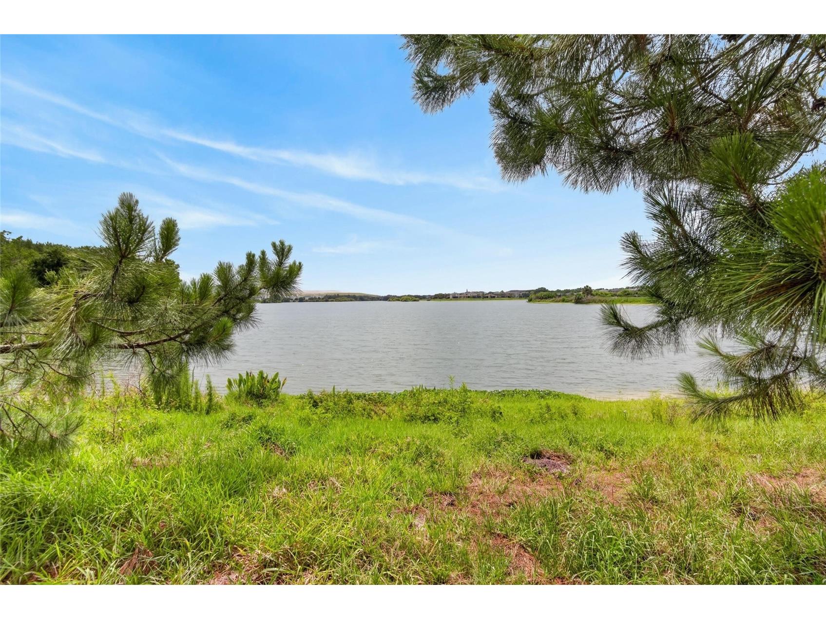 6207 Magnolia Park Blvd Riverview FL 33578 TB8515217 image47