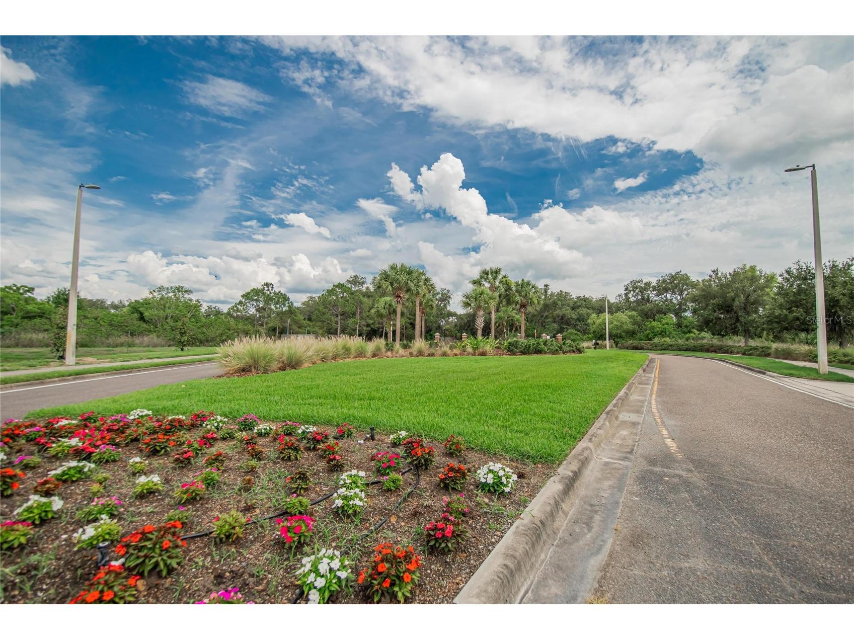 6207 Magnolia Park Blvd Riverview FL 33578 TB8515217 image52
