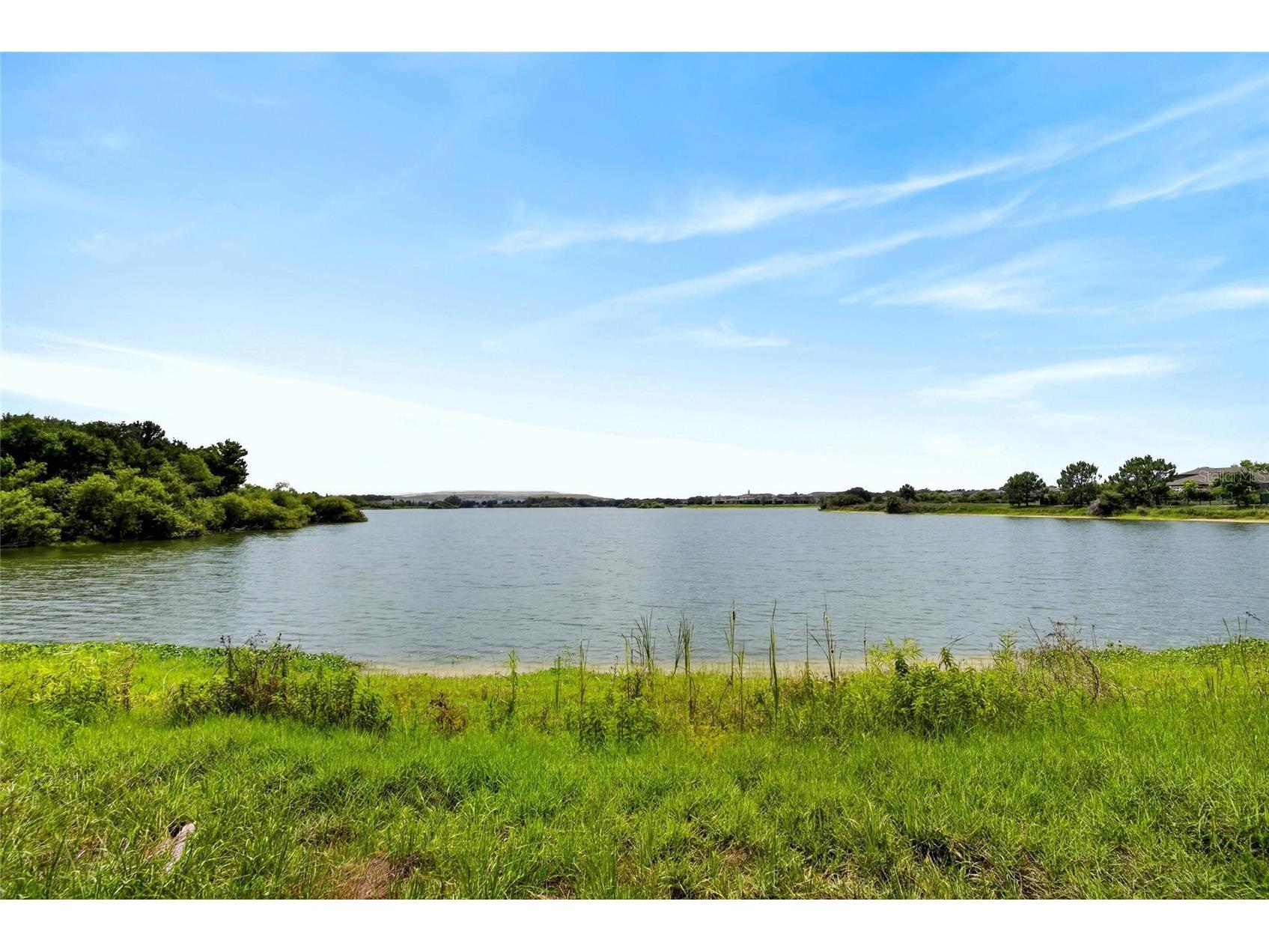 6207 Magnolia Park Blvd Riverview FL 33578 TB8515217 image53