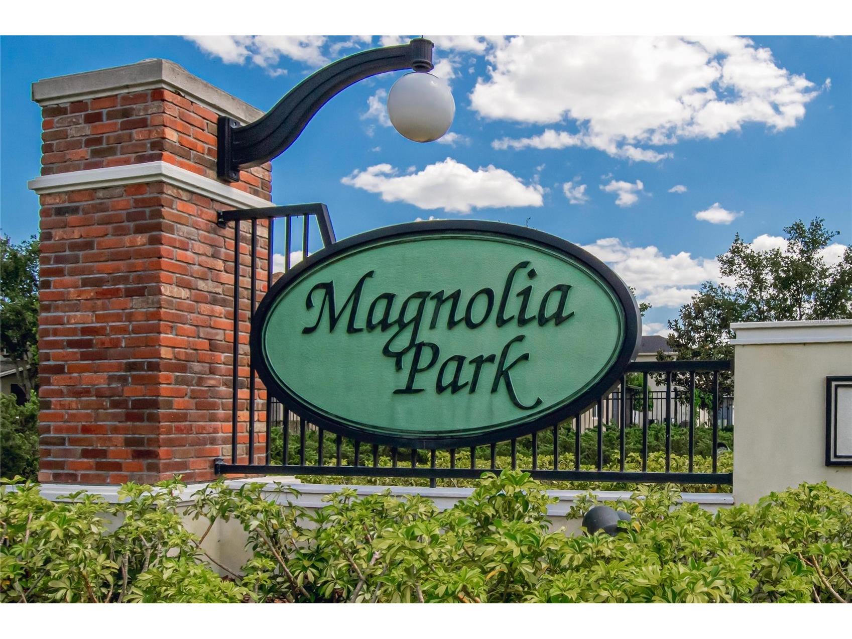 6207 Magnolia Park Blvd Riverview FL 33578 TB8515217 image54