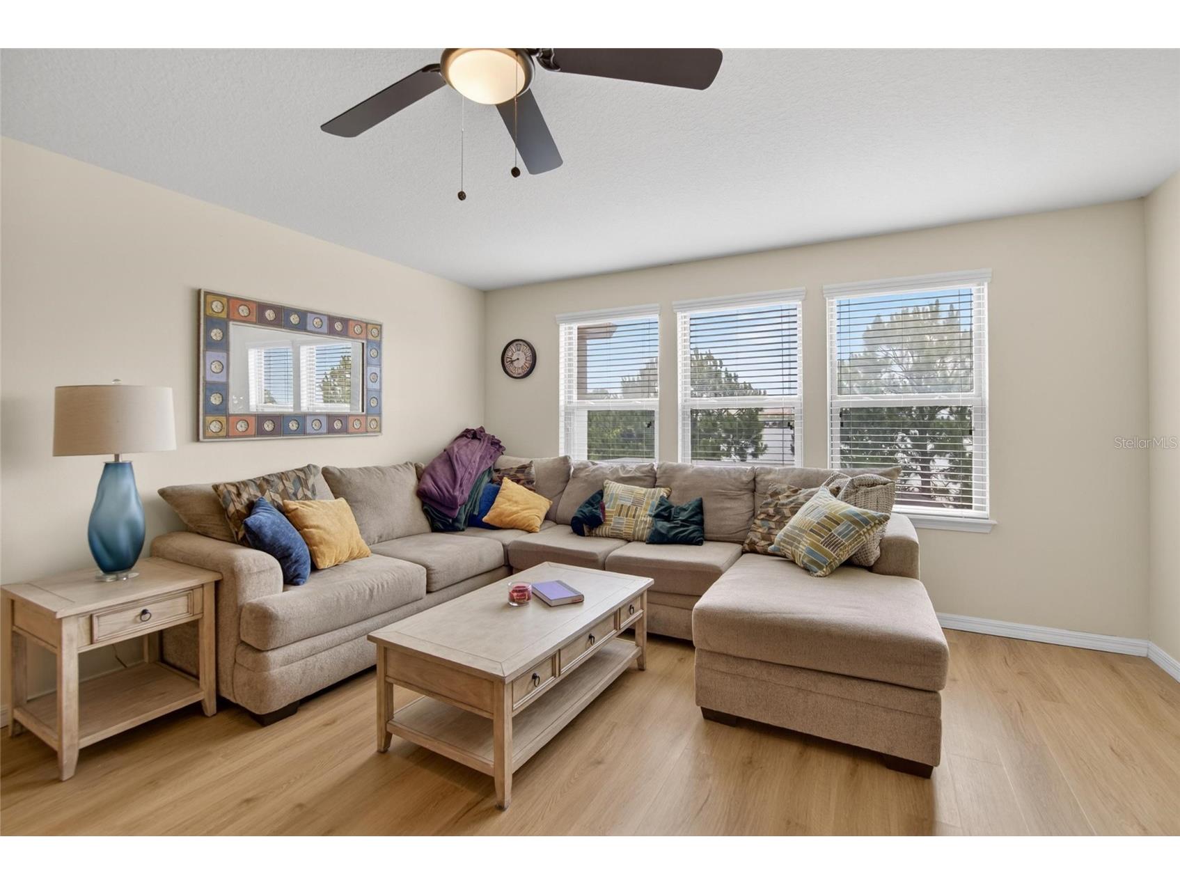 6207 Magnolia Park Blvd Riverview FL 33578 TB8515217 image7