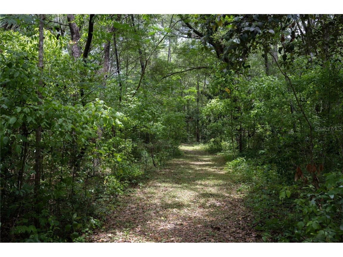 6207 NW County Road 235 Alachua FL 32615 GC531652 image54