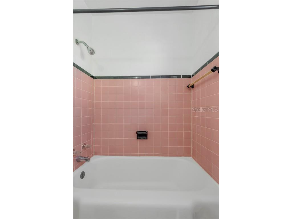 6207 S Kelly Road Tampa FL 33611 TB8456641 image19