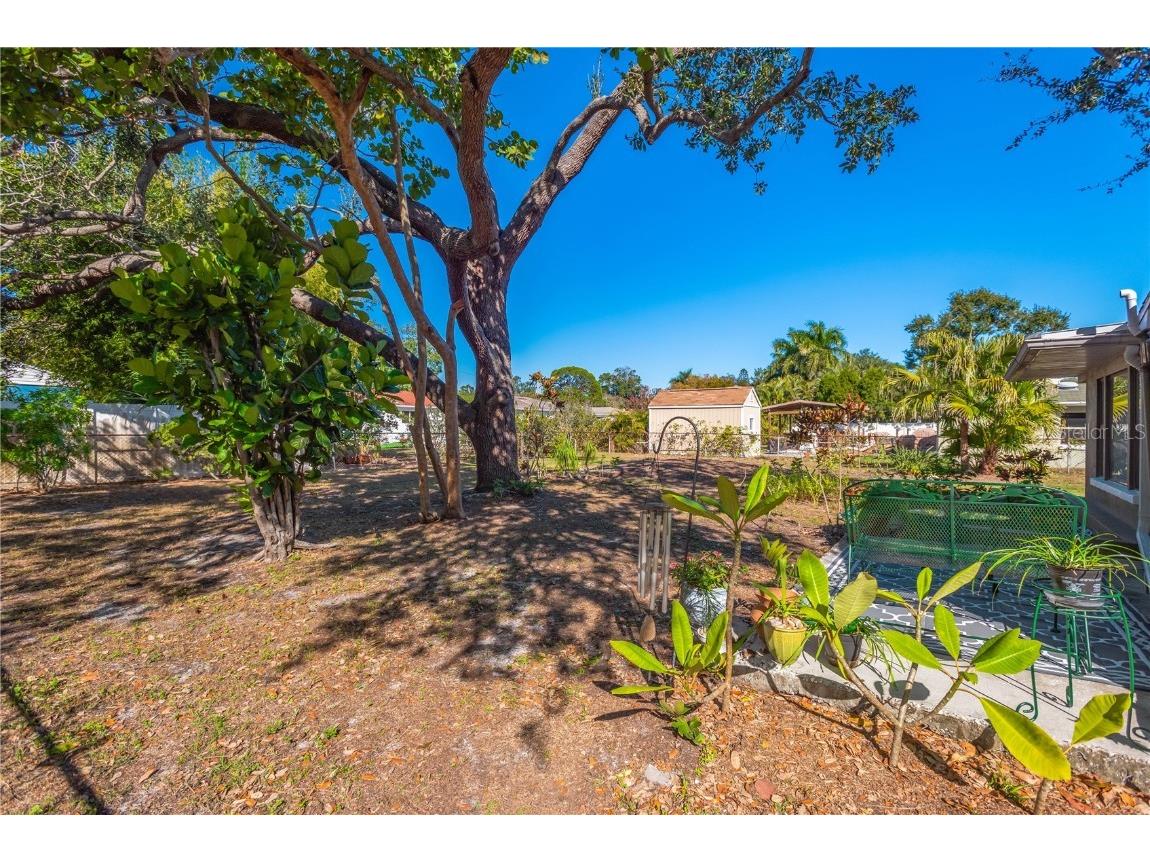 6207 S Kelly Road Tampa FL 33611 TB8456641 image23