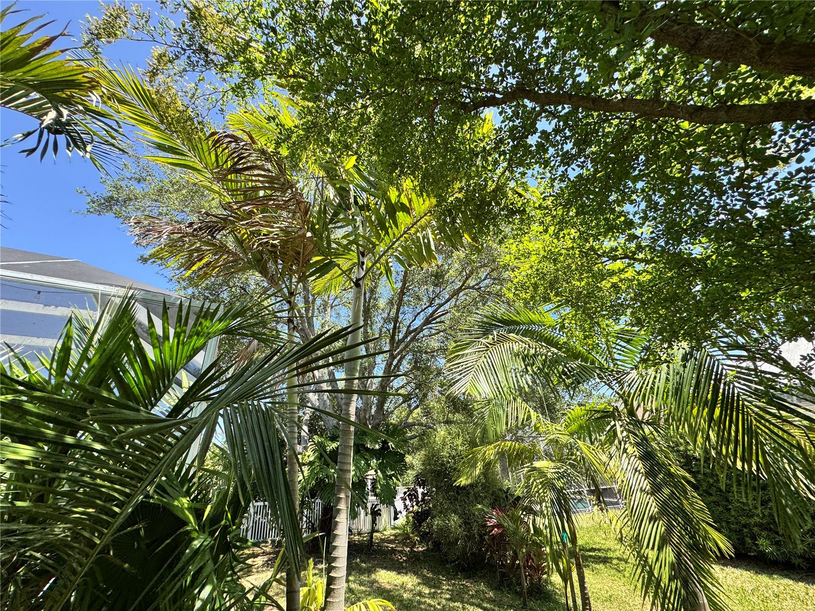 6207 Tupelo Trail Lakewood Ranch FL 34202 A4691001 image21