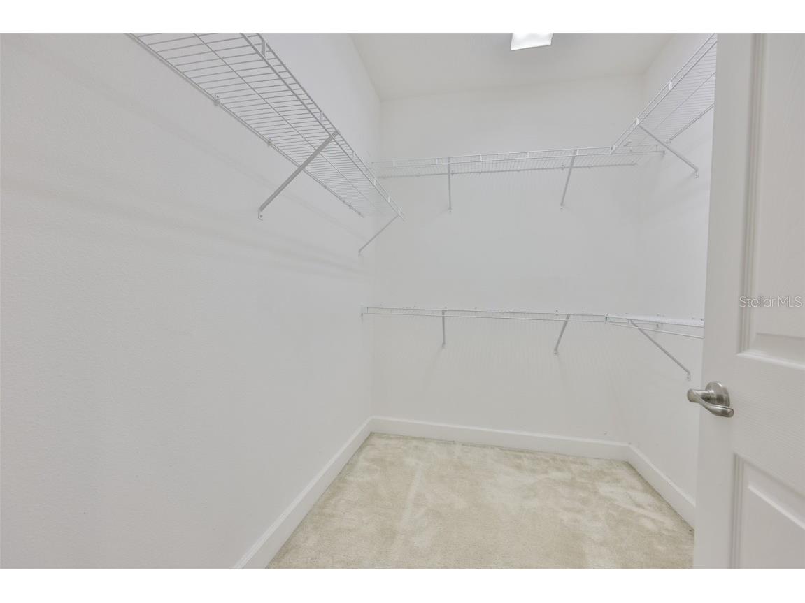 6207 Voyagers Place Apollo Beach FL 33572 TB8454352 image18