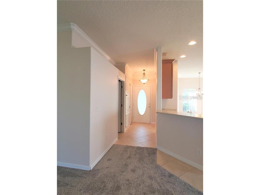 6208 Beldon Drive Mount Dora FL 32757 G5105169 image6